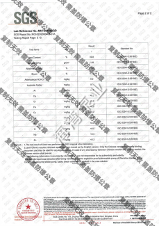 Submersible pump SGS certification