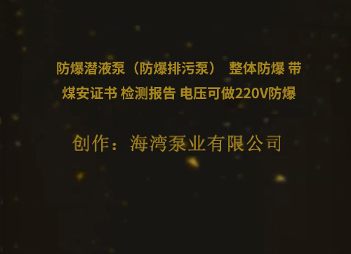 防爆潛液泵（防爆排污泵）  整體防爆 帶煤安證書 檢測(cè)報(bào)告 電壓可做220V防爆  380V防爆