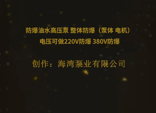 防爆油水高壓泵 整體防爆（泵體 電機(jī)）電壓可做220V防爆 380V防爆