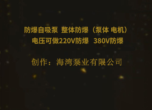 防爆自吸泵  整體防爆（泵體 電機）電壓可做220V防爆   380V防爆