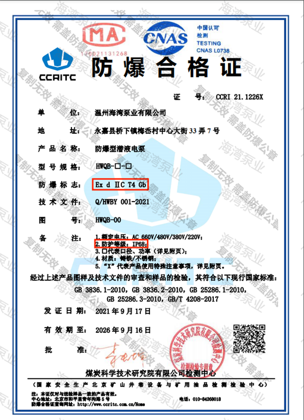 防爆型潛液電泵CT4 IP68證書