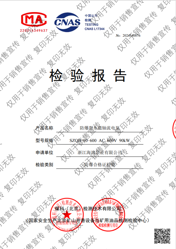 防爆型永磁軸流電泵檢測報告